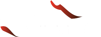 VulkanLAN